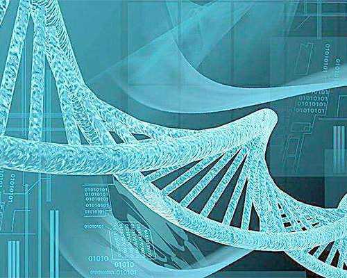 2020年邮寄香港验血_香港验血鉴定男女准吗 可靠吗,怎么预约香港验血机构?