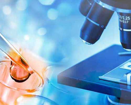 广州香港验血检测男女_去香港怎么验血查男女_性别鉴定几周准确