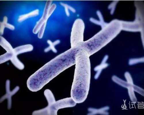 香港验血哪家准确率高_香港验血报告中显示7个阳性_验男女哪家化验所最权威