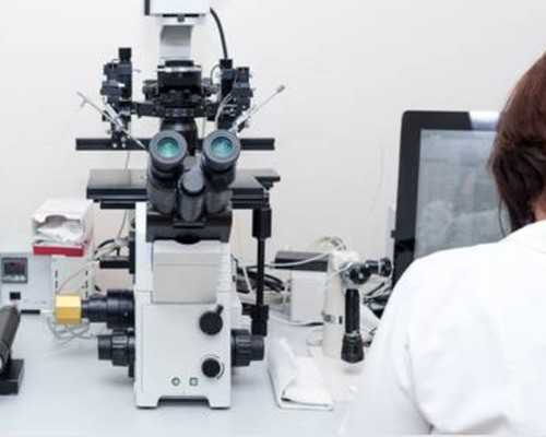 怀孕多久时间香港化验血最佳时间_香港性别鉴定寄血几天安全,6周验血男女准不