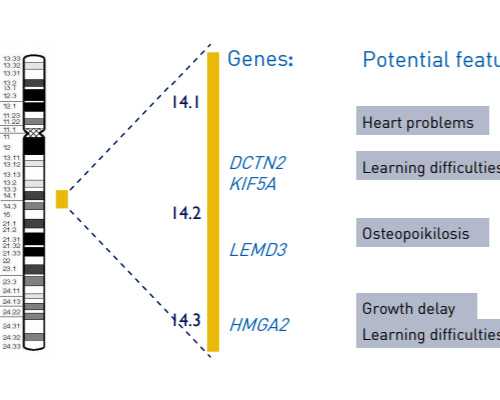 香港时代医院验血准嘛_香港测男女预约电话_验血查男女有科学依据吗