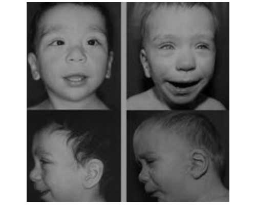 自己香港验血多少费用_香港验血女儿翻盘的有没有_哪家化验所权威