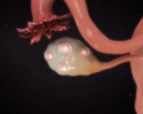 香港验血男翻女的例子_香港医院验血查男女几周可以验?我的亲身经历告诉你