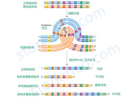 香港验血性别邮寄会影响吗_香港三家验血查性别机构准不准_验血查男女哪家机