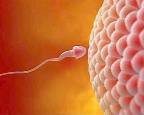 怀孕香港验血有翻版的吗_专业六周查男女安排科学精准