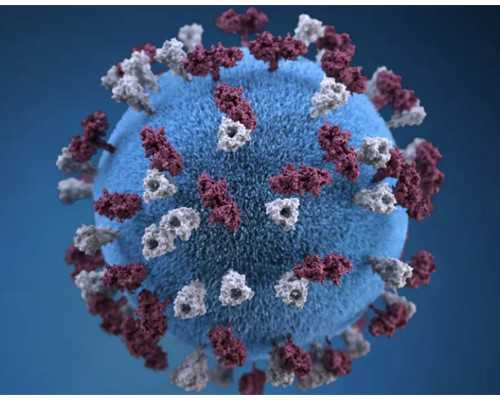 香港验血 费用 统一_达雅高官网电话_验血查性别有什么需要注意的