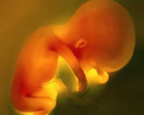 香港哪个验血中心准_打胎了隔多久可以去香港验血_查男女详细流程,告诉你多少