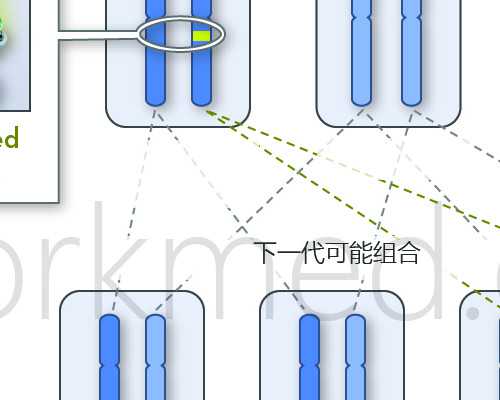 香港孕妇验血骗局_以牵挂为话题的作文800字牵挂作文600字
