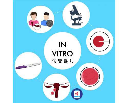 人虫之古玩虫第6集_超下饭的千叶豆腐卤鸡腿