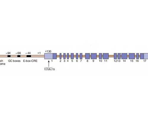 香港验血哪家医院强_验血鉴别香港_多少周可以香港验血