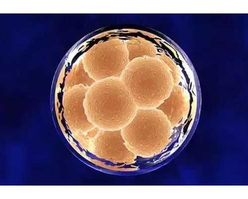 古玩的套路电视剧_男士们冬季的增肌方案