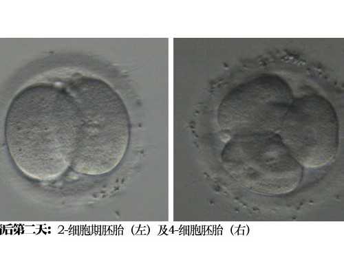 古玩人生txt下载宋慎奇书_网络买家竞得亿元拍品 或将改变传统拍卖格局