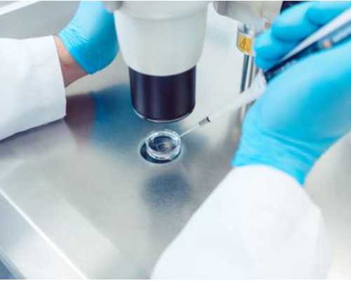 古玩市场交易规矩_“浮世异景” 解读时代的个体样本