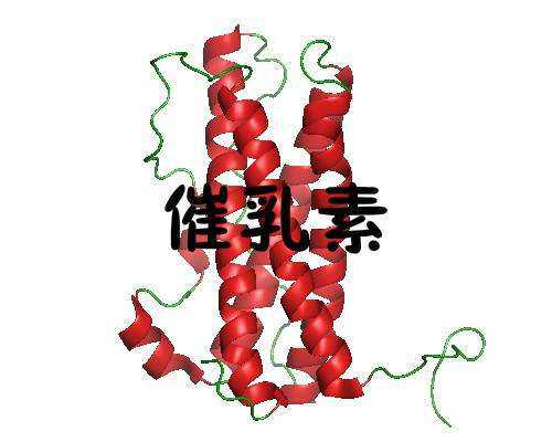 中华古玩网靠谱吗_盘点秋季饮食的8个禁忌