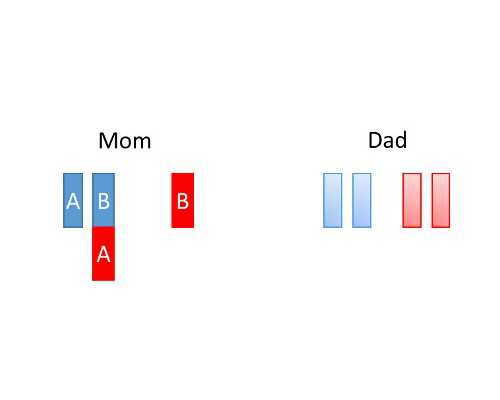 怀孕6周 香港验血有Y精子存在_香港查男女会出错吗_验血查性别,实例分享