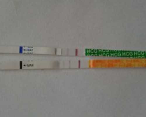 试管移植后卧床多久最好？~试管代孕怎么收费