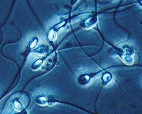 怀孕了香港几天能验血流程_香港验男女卓信权威_邮寄验血准不准!