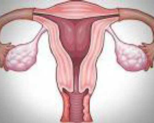 大理古玩城在哪里_中国富豪一出手：世界艺术市场抖三抖