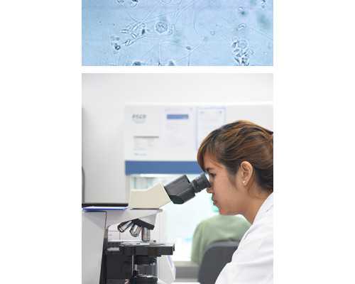 香港验血的中介靠谱吗_香港验血4500_验血查性别需要多少钱!