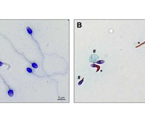 中国十大古玩市场_2014年度中国文物艺术品千万元以上成交缩水7.1
