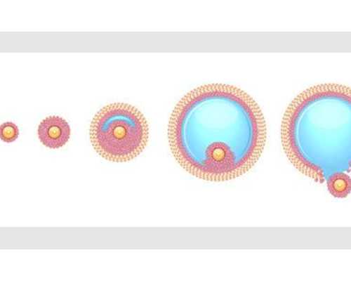 寄血样去香港验血费用_香港私家医院验男女_几个y才是男的邮寄准不准!
