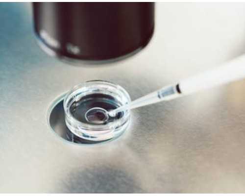 试管移植后香港验血准吗_1997年香港发生了什么大事香港近期的“事件”大家如