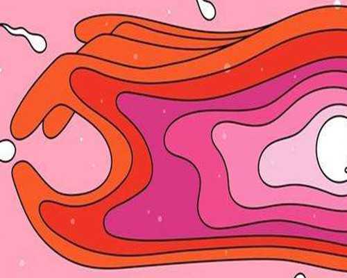 成都古玩交流会_鼻子