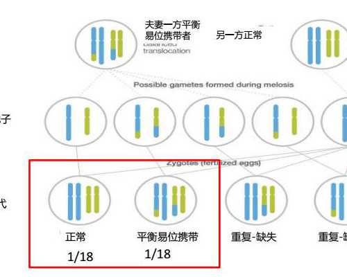 厦门寄香港验血的好多_香港可以一个月查男女_香港验血查男女什么价格,该怎么