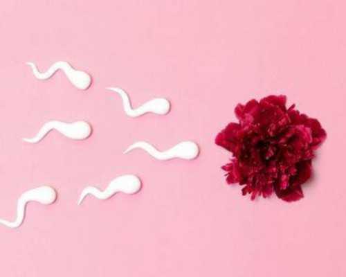 40天怀孕香港验血_dna验血多少钱_靠不靠谱亲生经历告诉你!