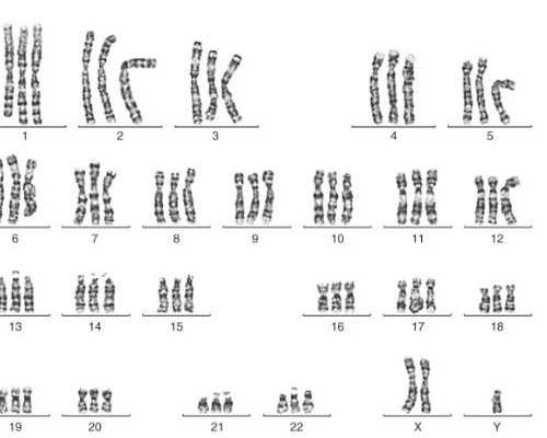 寄到香港去验血的试管要分离胶吗_香港验血测胎儿报告准不准_验到男孩女孩有