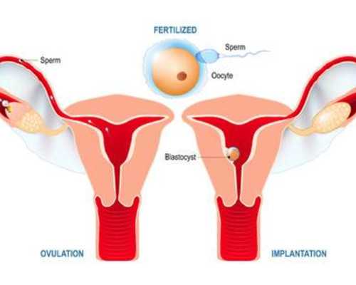 2022年全国古玩交易会时间_市民3年前领工资得到百元错币 如今估价超百万