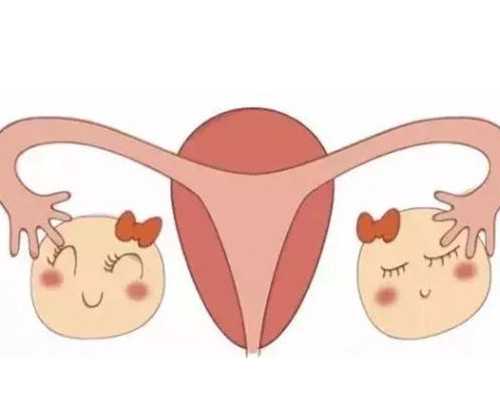 香港验血验男女机构_香港dna验血查男女_验血查男女应该注意什么!