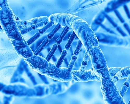 中介给香港验血价格区间_香港验血hkdna8_真的有那么高准确率吗!