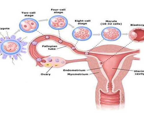怀孕双胞胎能香港验血吗_香港验血胎儿性别鉴定_验血查性别哪家最权威