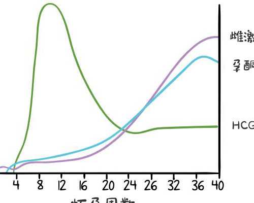 关于香港孕妇验血的新闻_香港验血测胎儿性别准确_验血查性别有什么需要注意