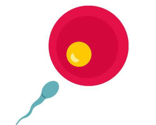 香港6周验血多少钱_香港验血查男女原理是什么_dna胎儿性别邮寄准不准