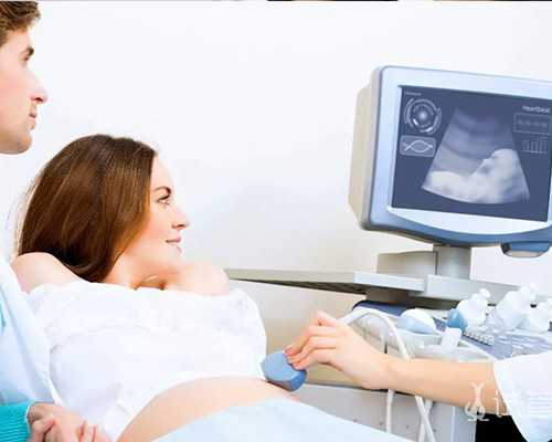 中国古玩收藏协会副会长_国宝的形成：台北故宫精品展