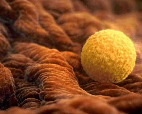 湘潭香港验血鉴定男女中介_去香港验血价格2000_讲述我到香港验血的全过程!