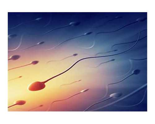 古玩虫电视剧免费土豆全集在线_冀少峰：美术馆热后面的冷思考