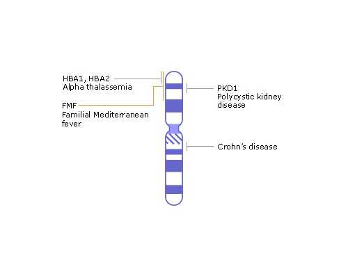 古玩包装盒制作_快手酱汁茄子