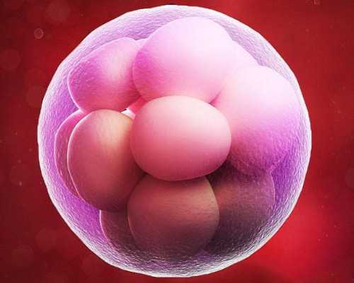 香港验血四大权威机构_香港检测中心_验血查男女最详细攻略