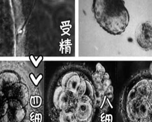 古玩鉴定放大镜台式_红木市场迎来新一波暴涨潮