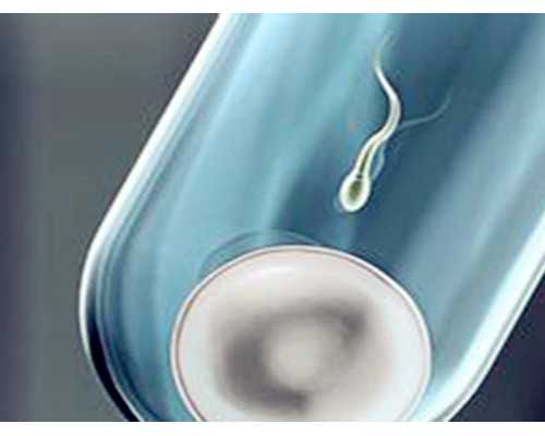 网上那个香港验血是真的吗_胎芽多大可以去香港验血_查男女都有哪些需要注意