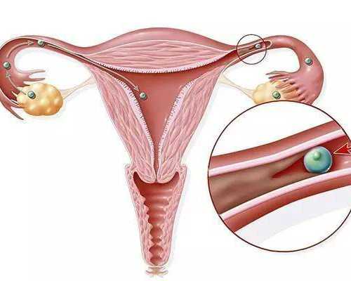 香港尹镇伟验血到底准不准_香港验血诊所排名_亲身经验给大家
