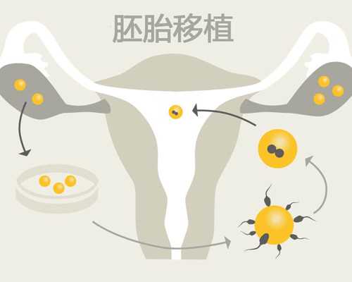 怀孕香港验血最佳时间_香港dna检测能查男女么_你想知道的都在这