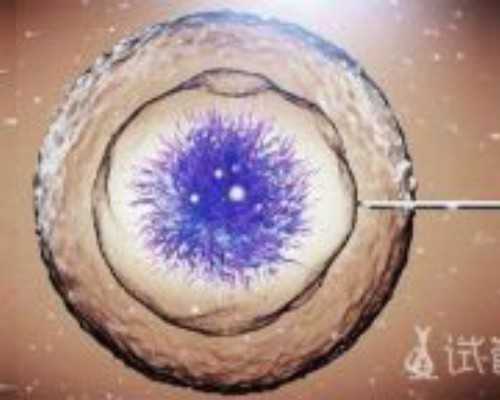 香港验血查男女有假的吗_有人香港验血不准的吗_你想知道的流程都在这里!