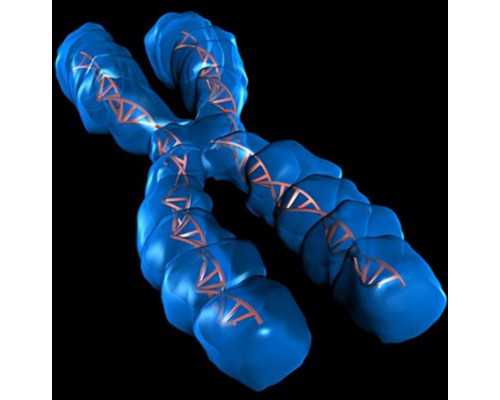 香港验血查男女机构_有没有验血翻盘_原理是什么有哪些条件