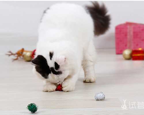 电视剧古玩虫儿全集_难得一见的蒙古 越南与塞尔维亚艺术