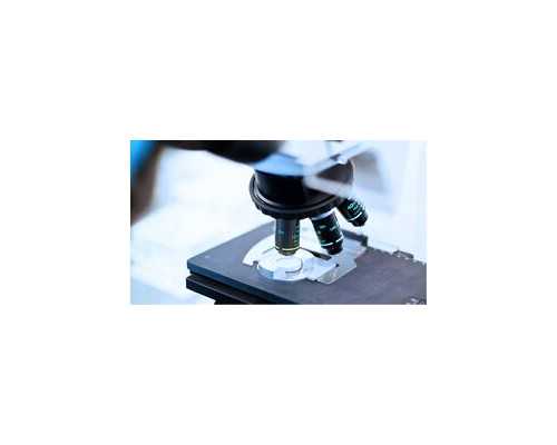 香港验血是直接到医院吗_香港dna判定胎儿性别费用是多少,验血的具体流程是怎