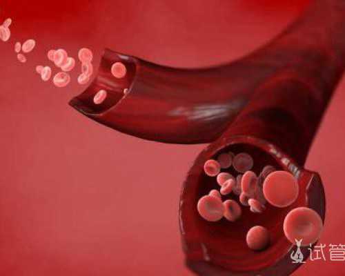 hcg翻倍慢生男孩,hcg翻倍快生女孩~捐卵中介